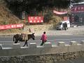 Great Wall of China (55)